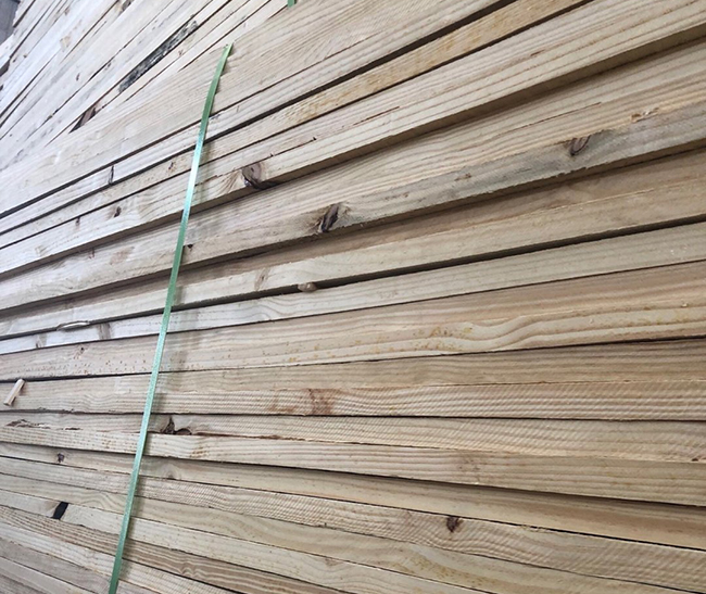 章贡巴西松